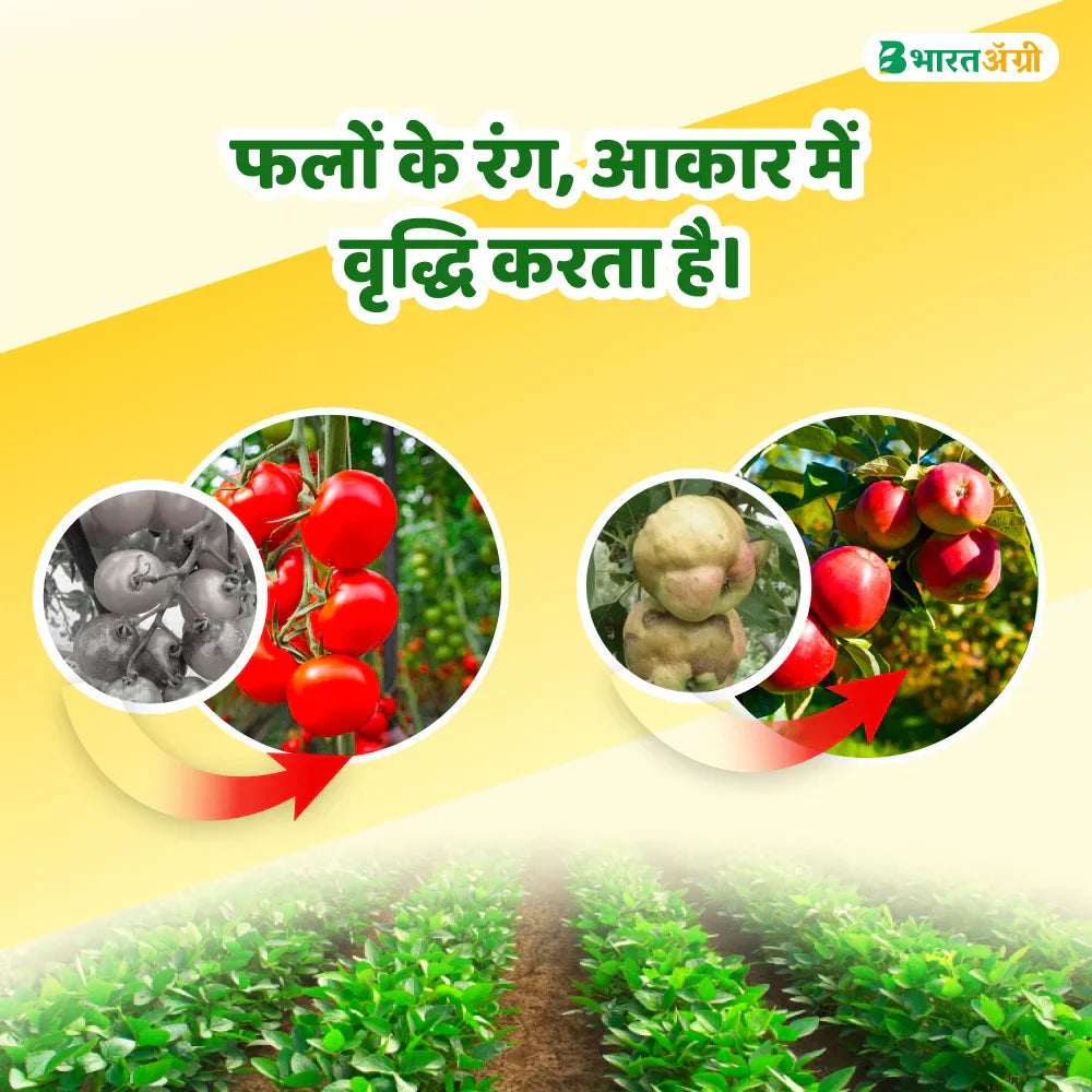 IFC Potassium Schoenite (00:00:23) Water Soluble Fertilizer (1+1 Free)
