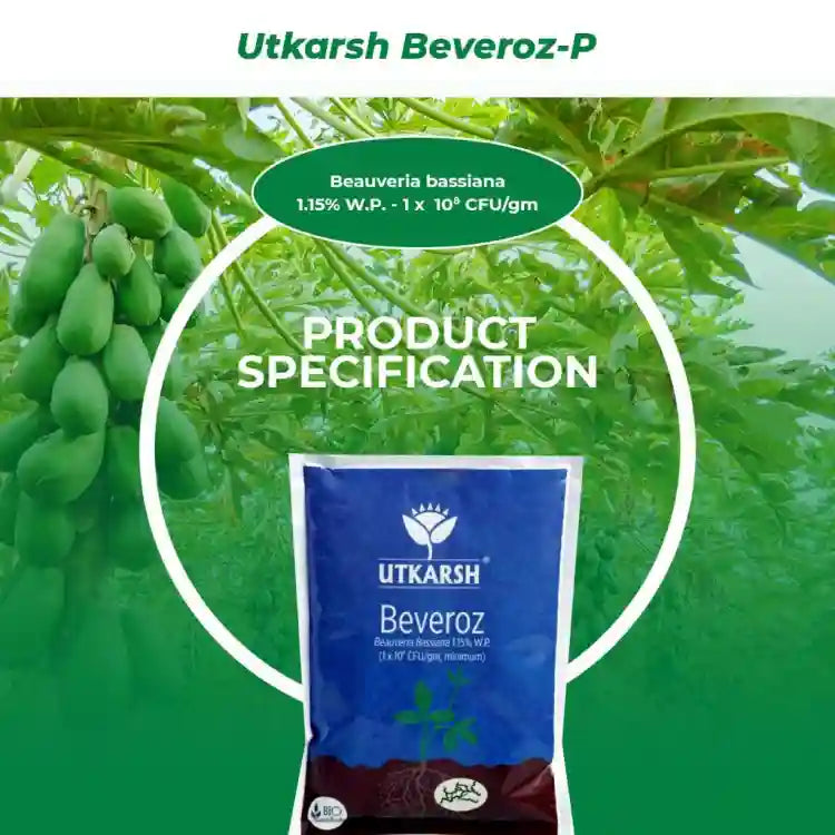 Utkarsh Beveroz-P (Beauveria Bassiana) Bio Insecticide