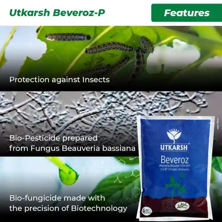 Utkarsh Beveroz-P (Beauveria Bassiana) Bio Insecticide