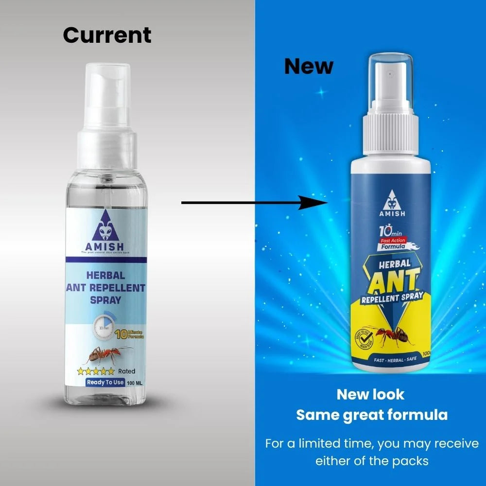 Amish Herbal Ant Repellent Spray - 100 ml