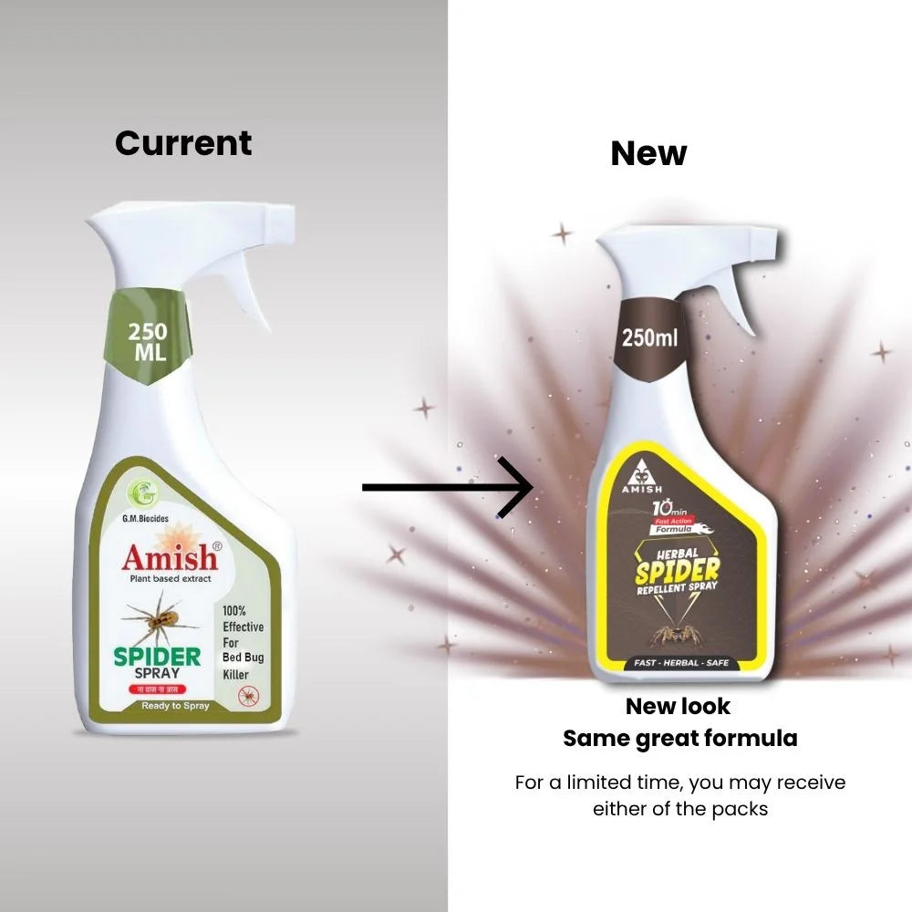 Amish Herbal Spider Repellent Spray - 250 ml