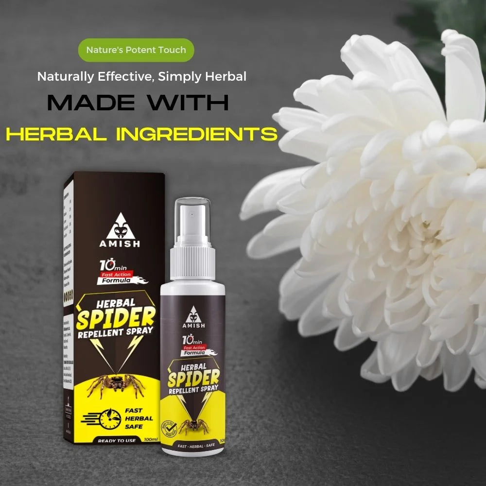 Amish Herbal Spider Repellent Spray - 100 ml