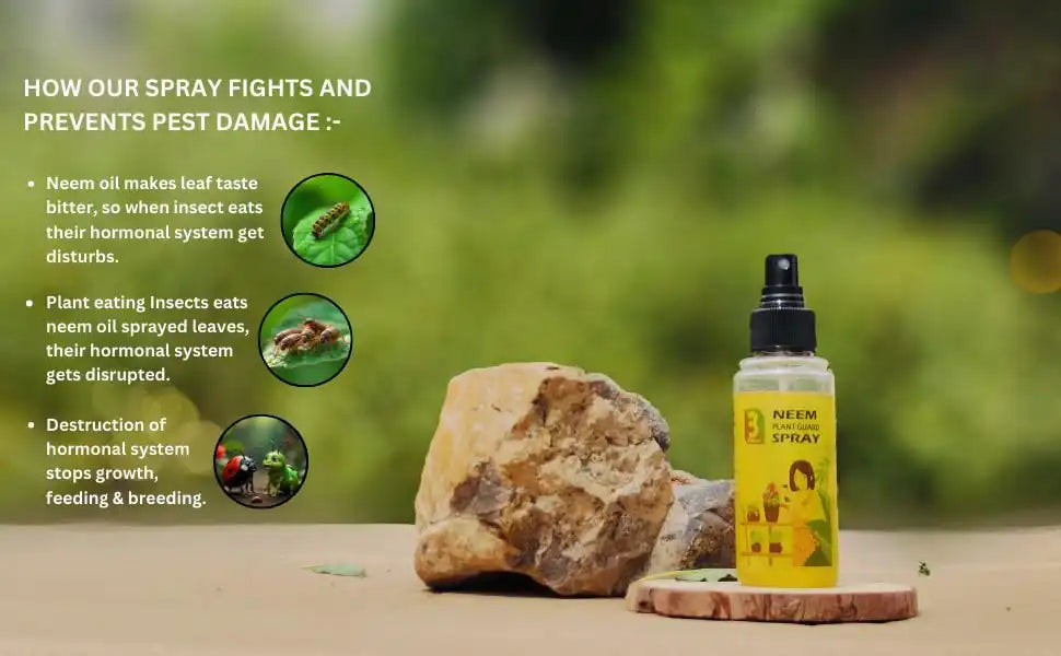 Chipku Herbal Pureneem Spray