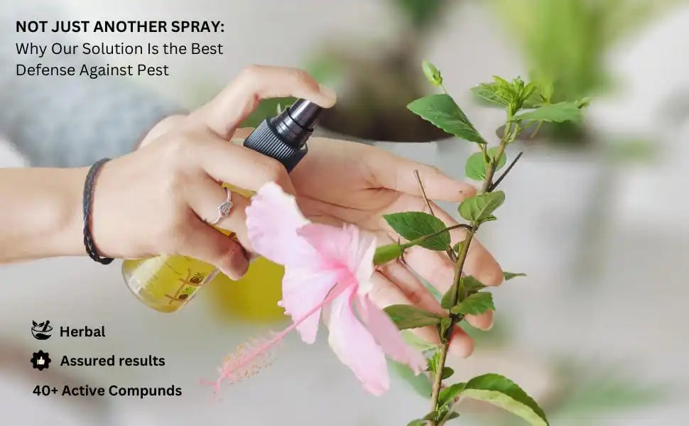 Chipku Herbal Pureneem Spray