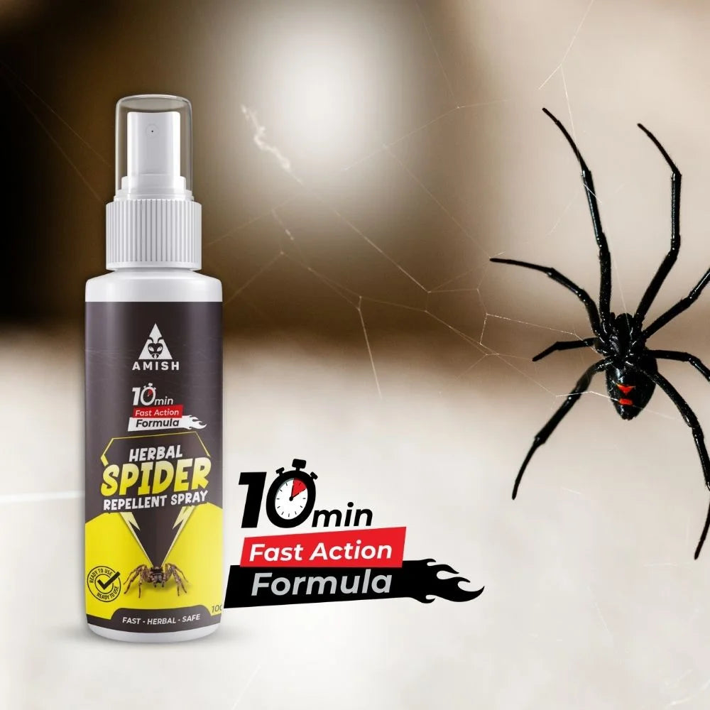 Amish Herbal Spider Repellent Spray - 100 ml