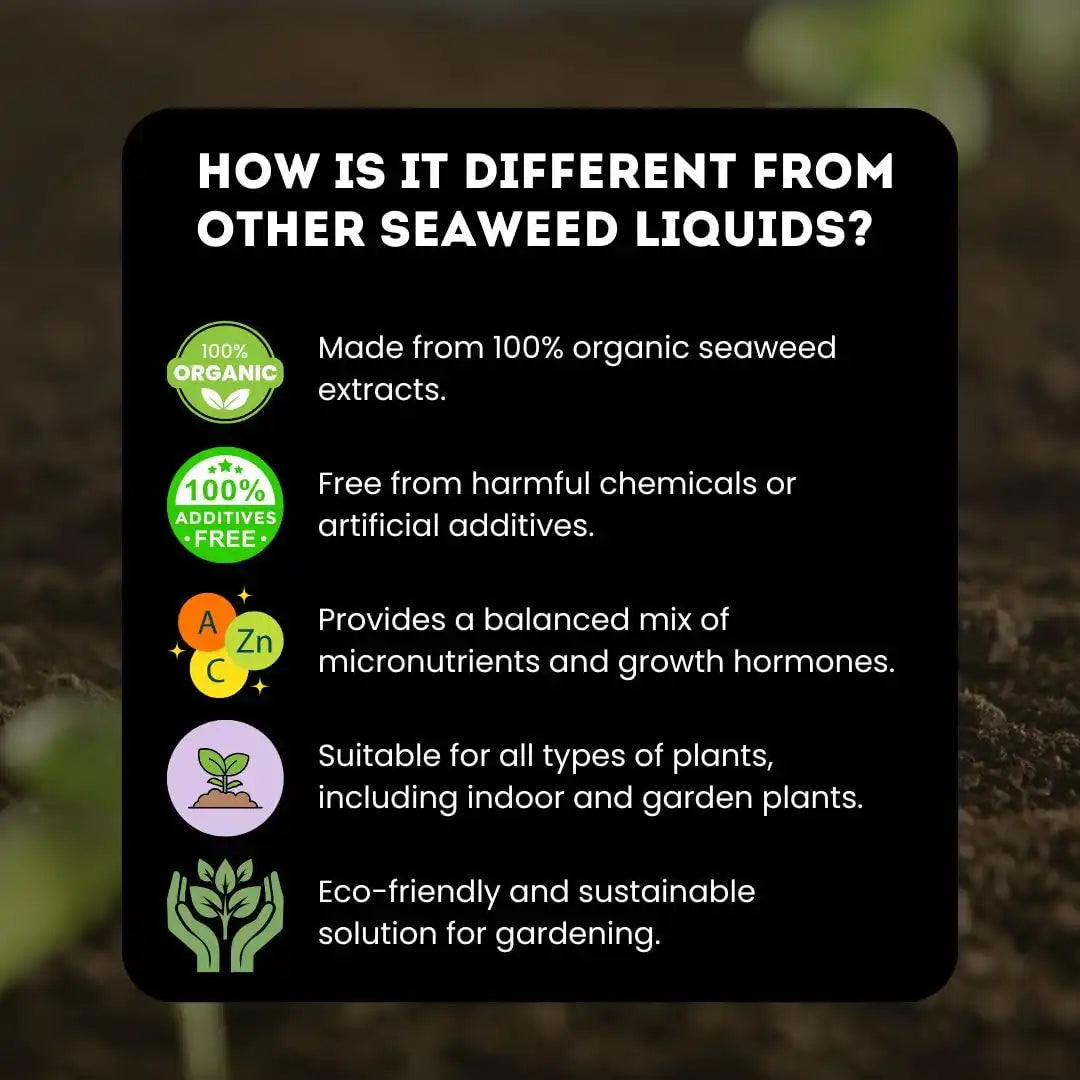 Chipku Seaweed extract liquid