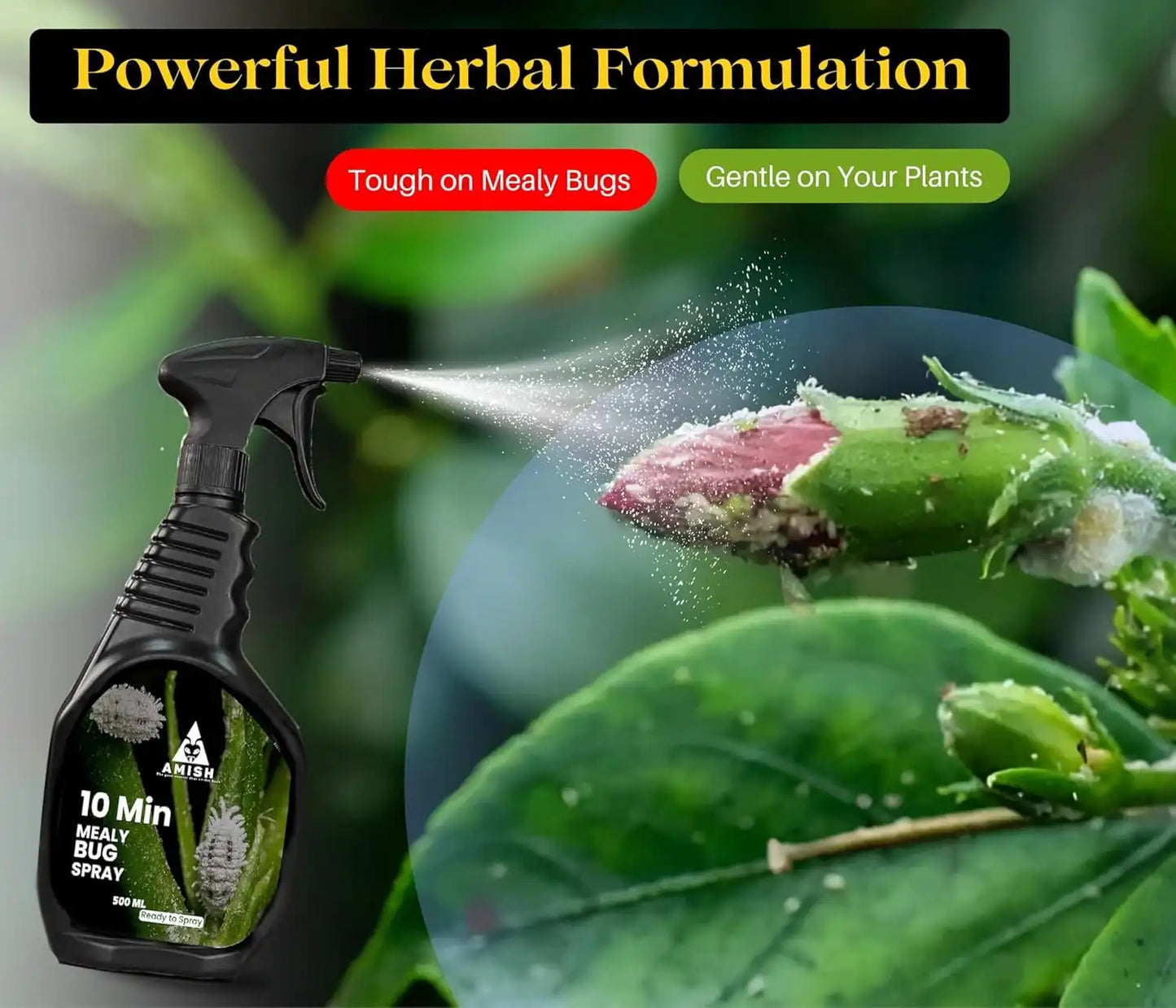 Chipku Herbal Mealy Bug Spray For Plants & Garden-250 ml