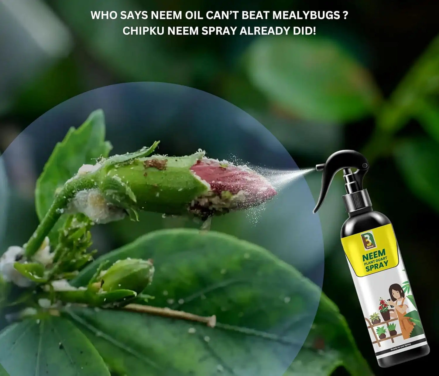 Chipku Neem oil Ready to Use