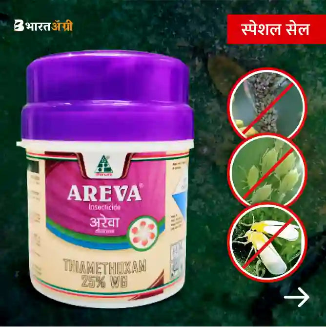Dhanuka Areva (100 gm) + IFC Super Sticker (40 ml)