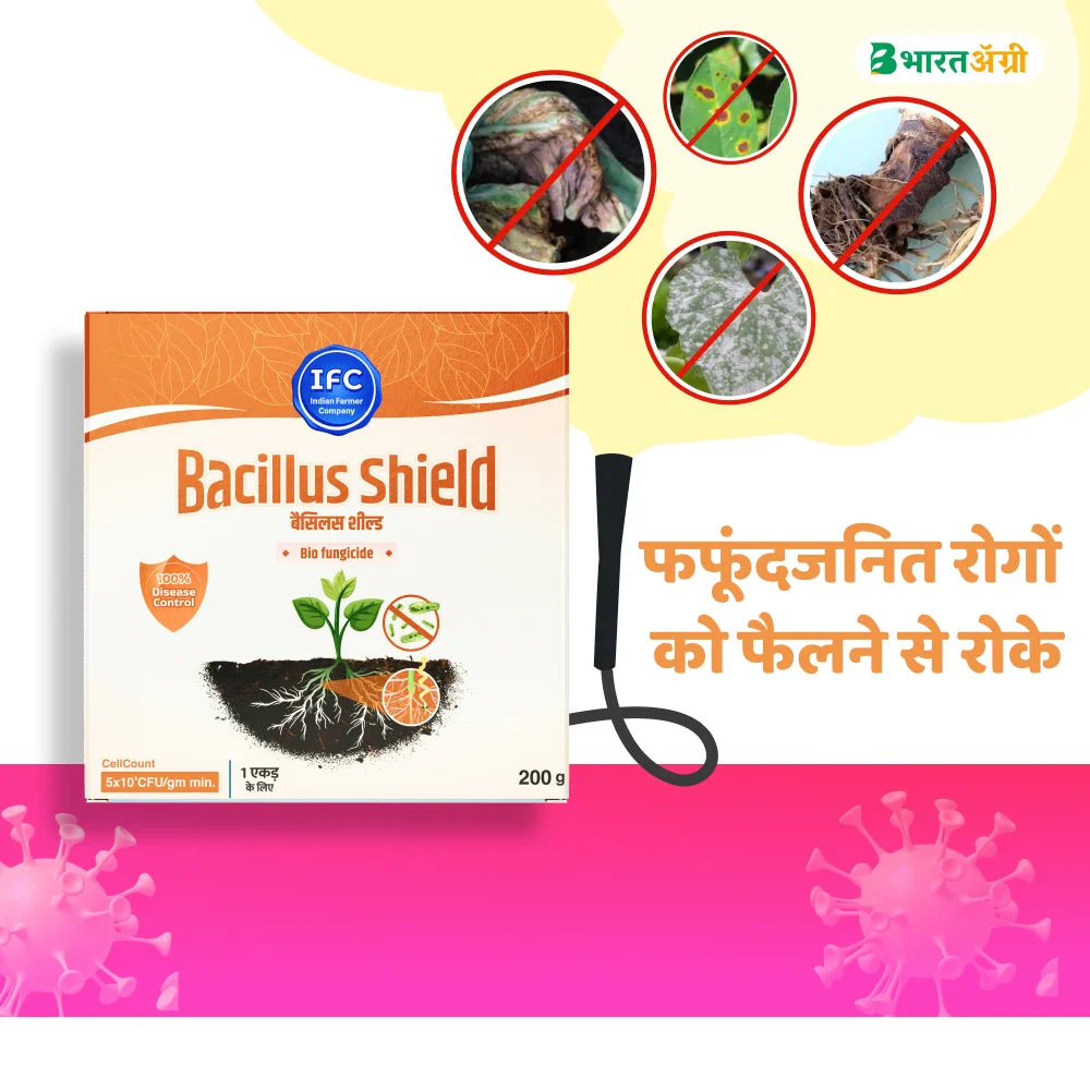 IFC Bacillus shield (Bacillus Subtilis) Biofungicide