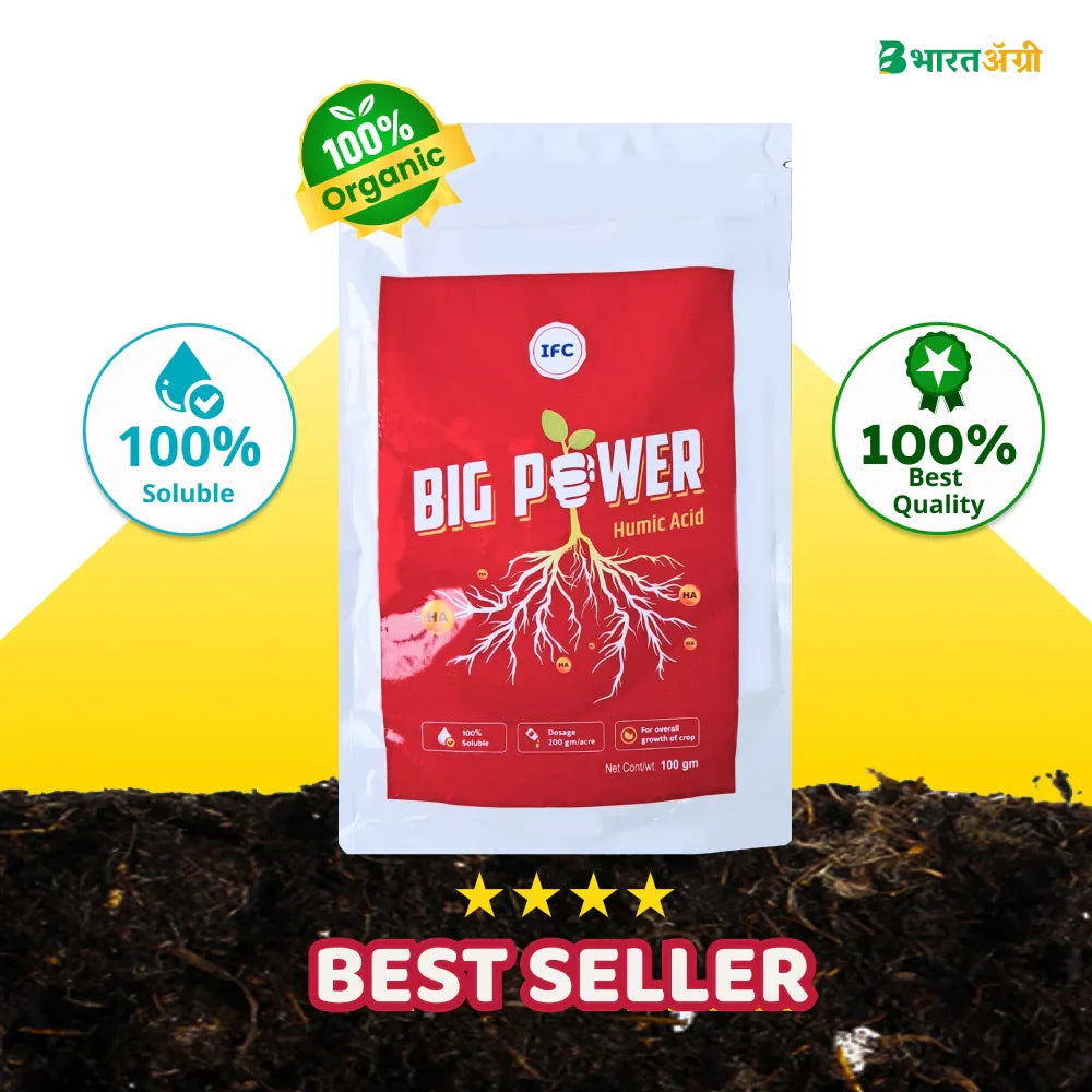 IFC Big Power (Humic Acid 50%) Water Soluble (1+1 Combo)