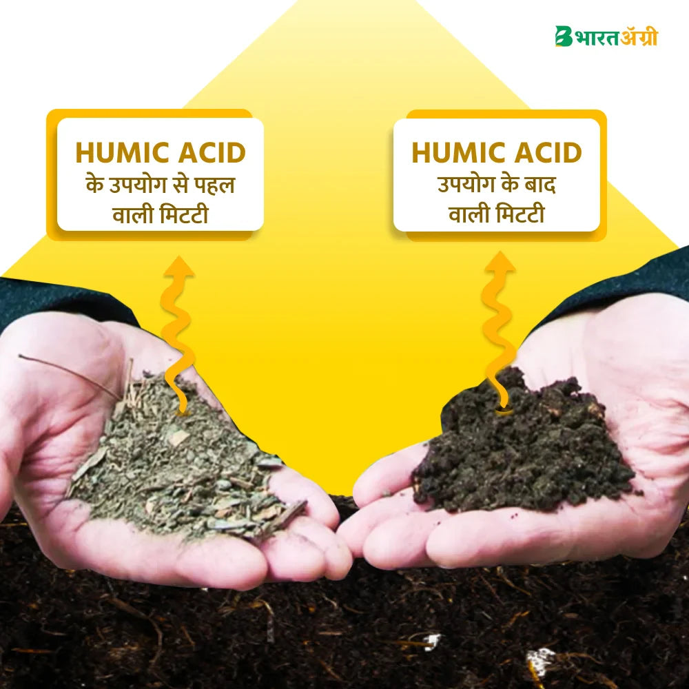 IFC Big Power (Humic Acid 50%) Water Soluble