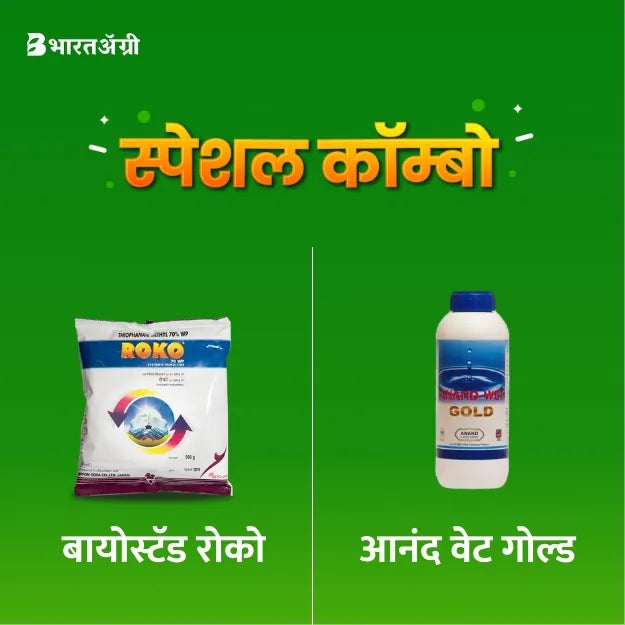Biostadt Roko Fungicide (500 gm) + Anand agro wet gold (25 ml)