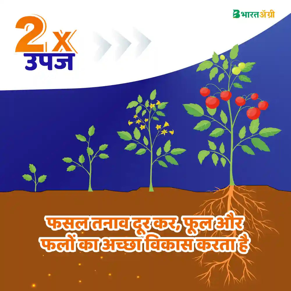IFC Cal-Boron Water Soluble Fertilizer (1+1 Combo)