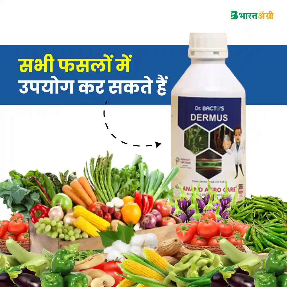 Dr. Bacto's Dermus (Trichoderma Viride)