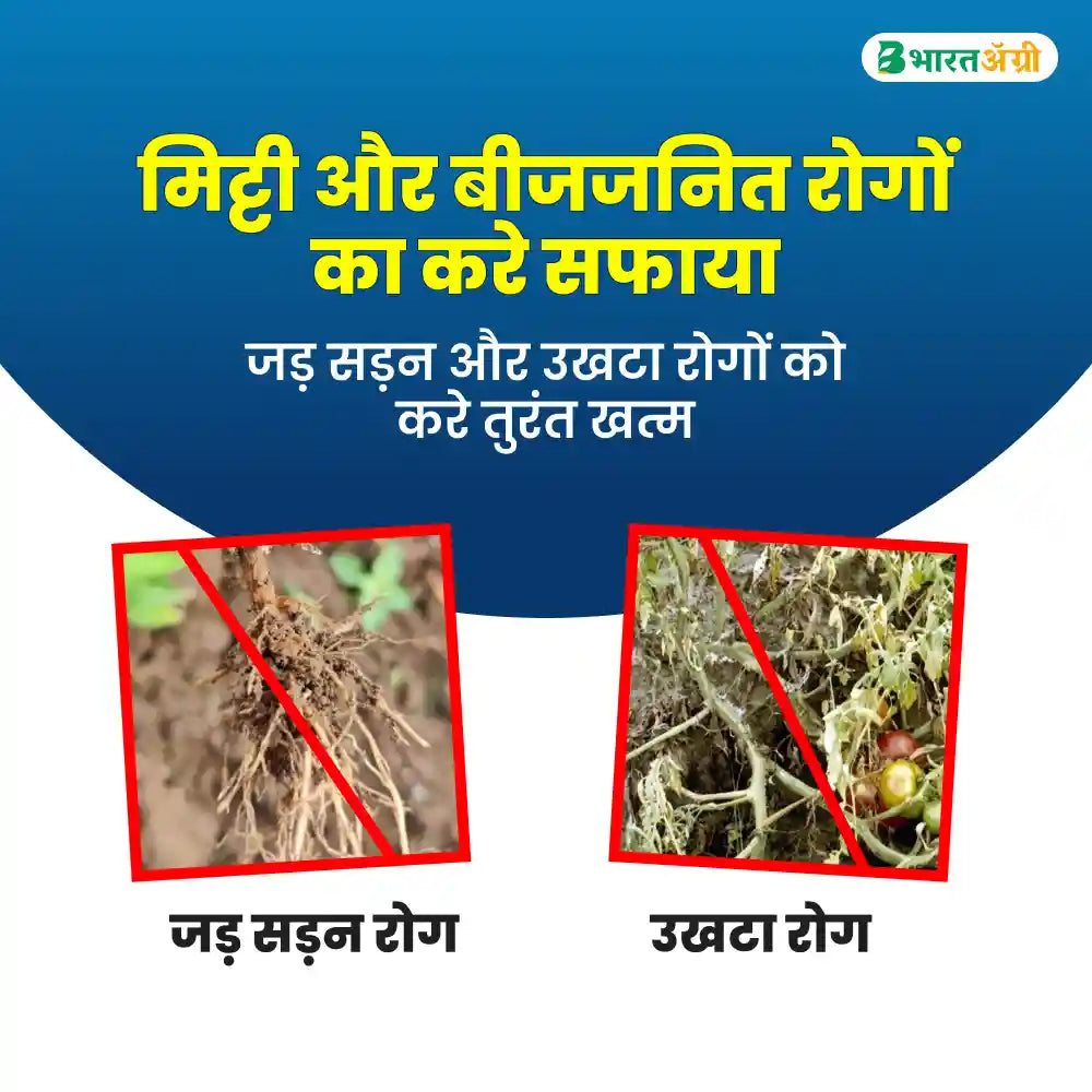 Dr. Bacto's Dermus (Trichoderma Viride)