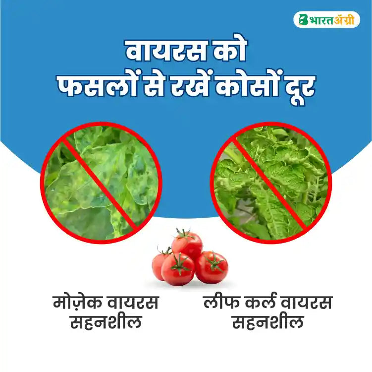 Geolife No Virus Tomato Special (1+1 Free)