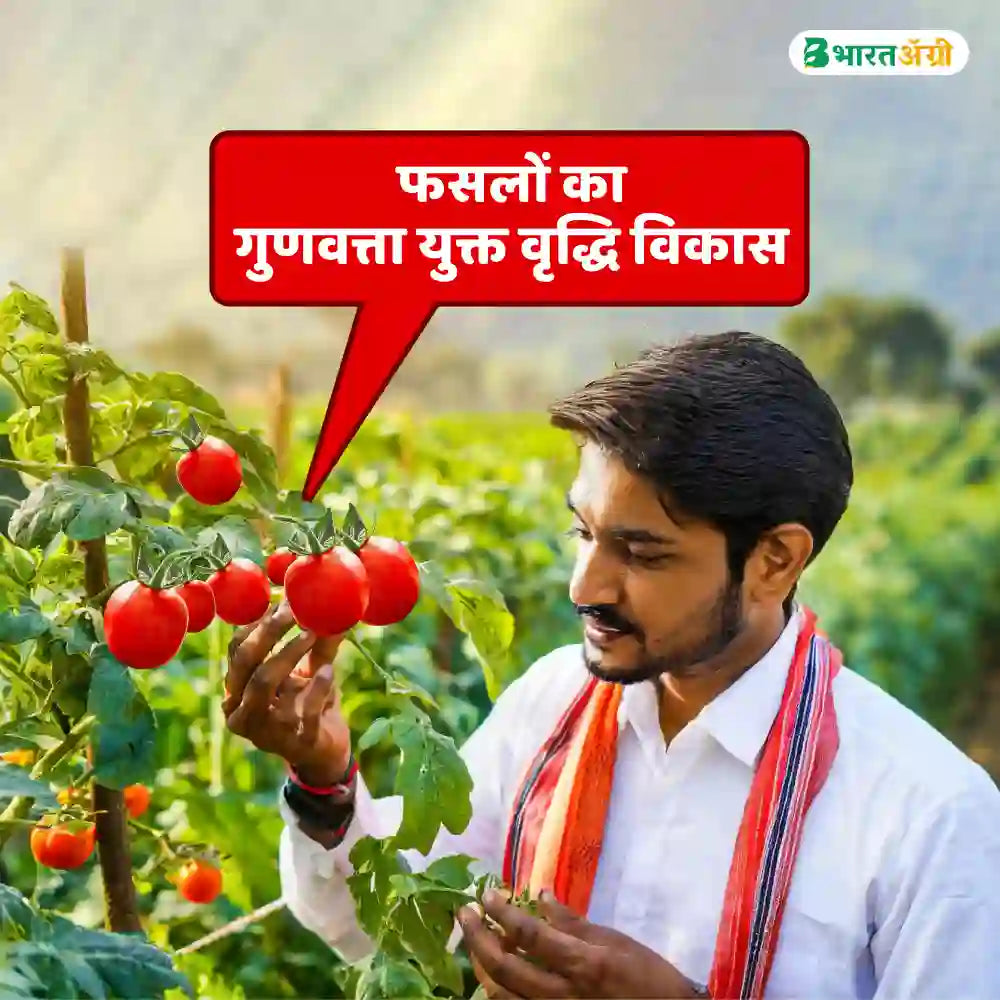 Geolife Vigore Raja Mycorrhizal Bio Fertilizer