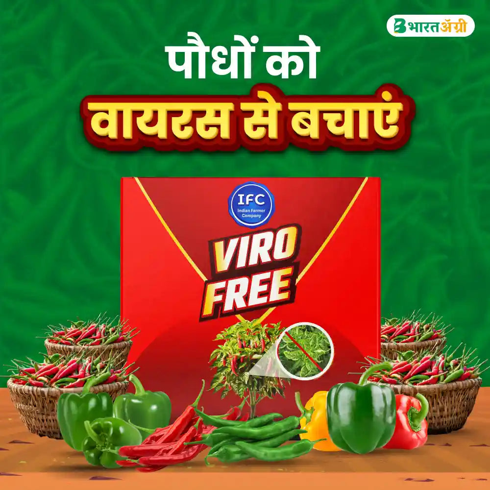 IFC Viro Free Viricide (1+1 Free)