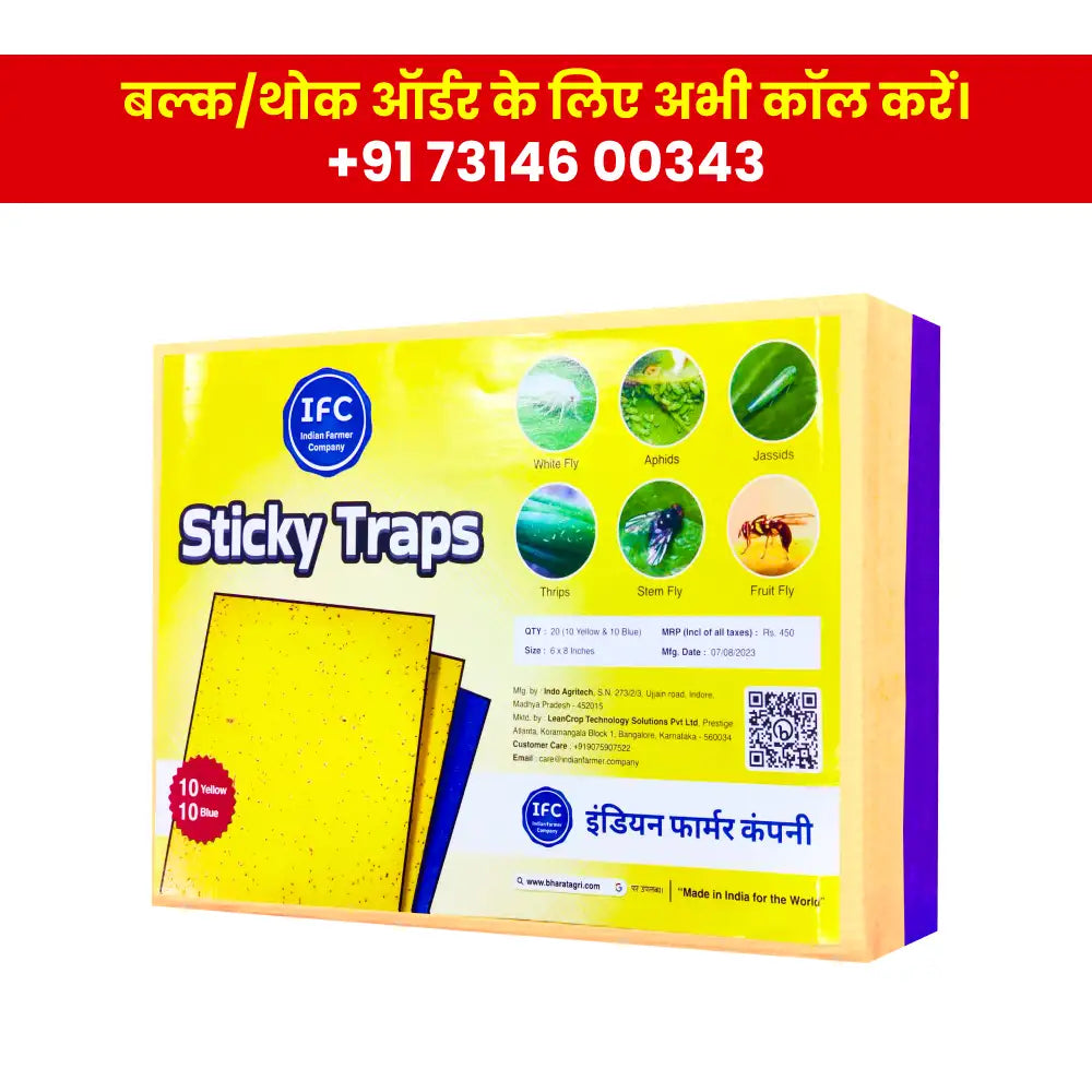 IFC Sticky Trap (10 Yellow, 10 Blue) (6 x 8 inch)