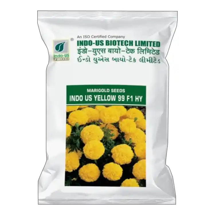 Indo US F1 Hybrid Yellow-99 Marigold Seeds