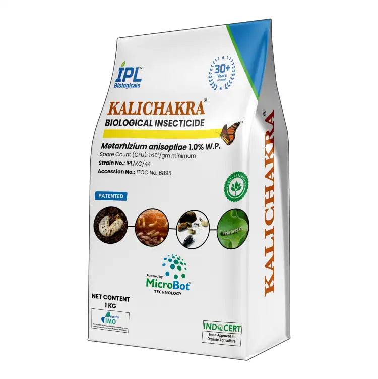 IPL Kalichakra (Metarhizium anisopliae) Bio Insecticide