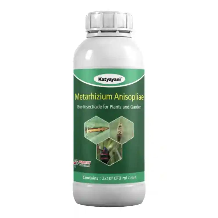 Katyayani Metarhizium anisopliae Bio Insecticide