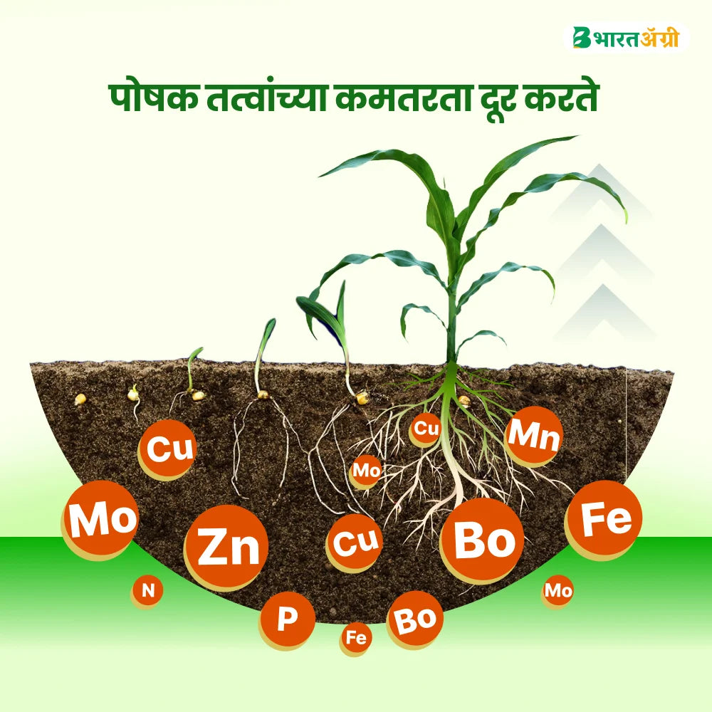 IFC Micronutrient Mix Fertilizer