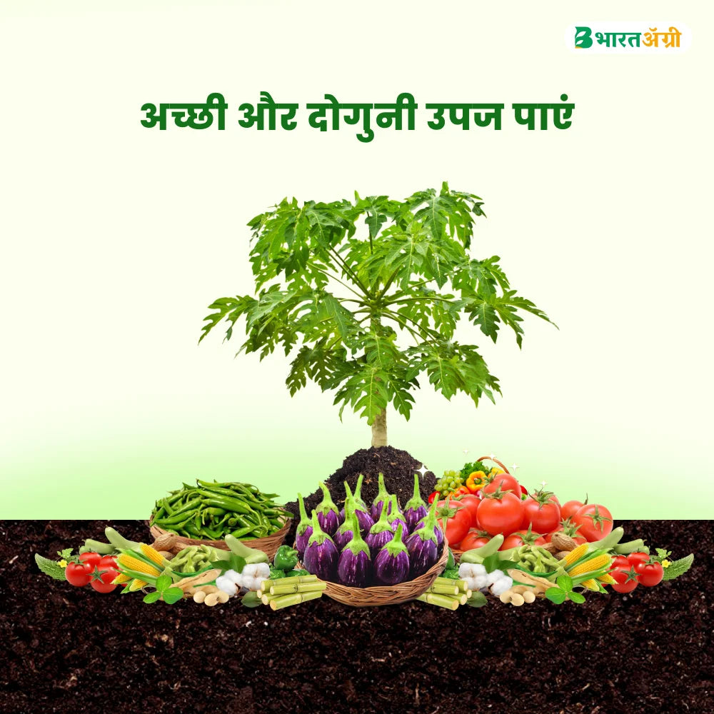 IFC Micronutrient Mix Fertilizer