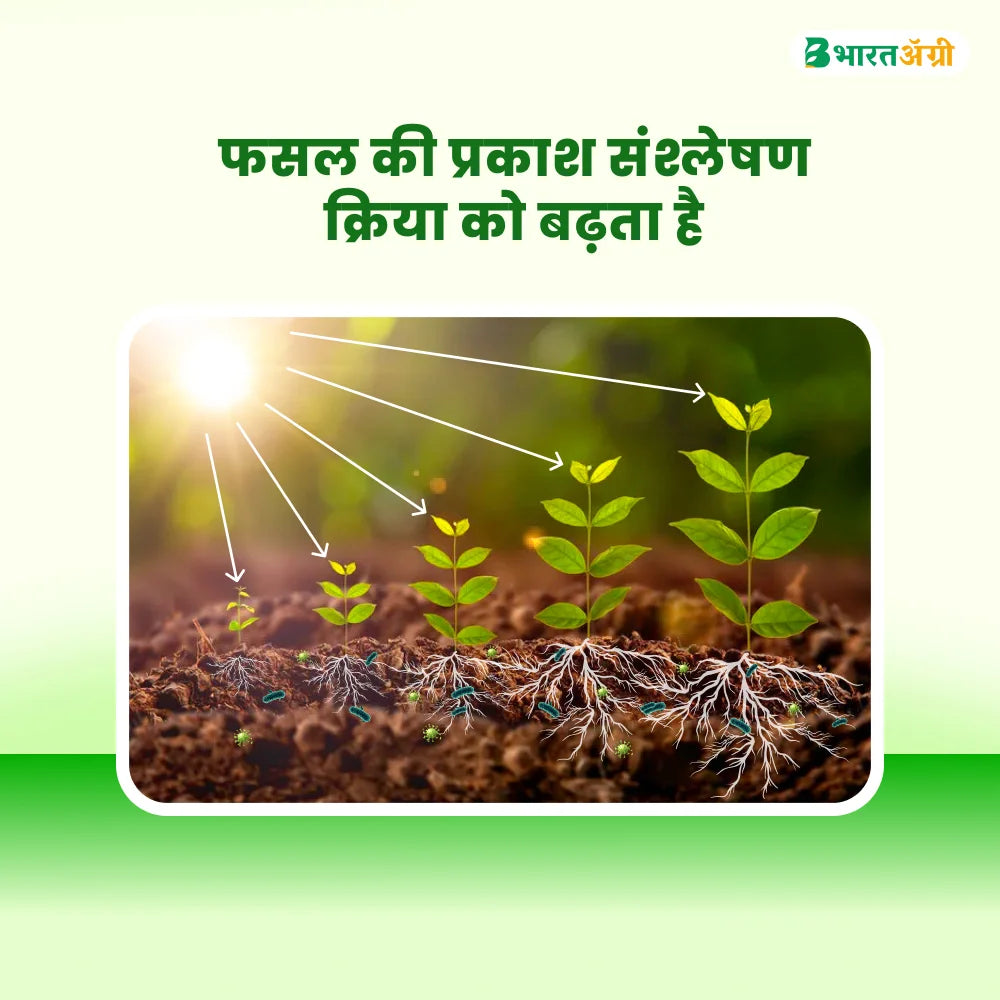 IFC Micronutrient Mix Fertilizer