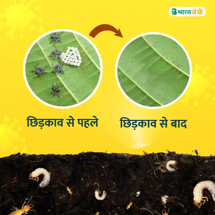 IFC Neem Power Plus (Neem oil One Lakh PPM) Bio Pesticide (1+1 Free)