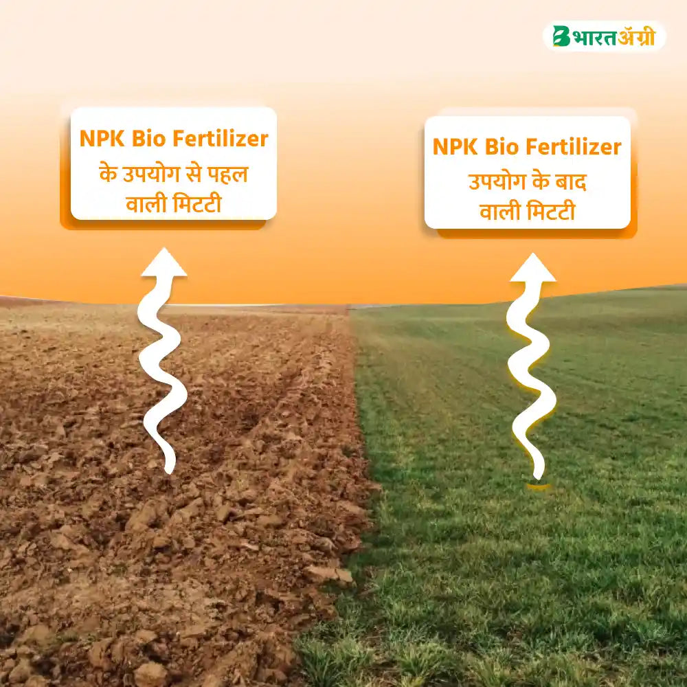 IFC NPK Bacteria (100% Organic)