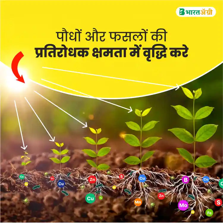 Patil Biotech Vamizone Bio Fertilizer (1+1 Combo)