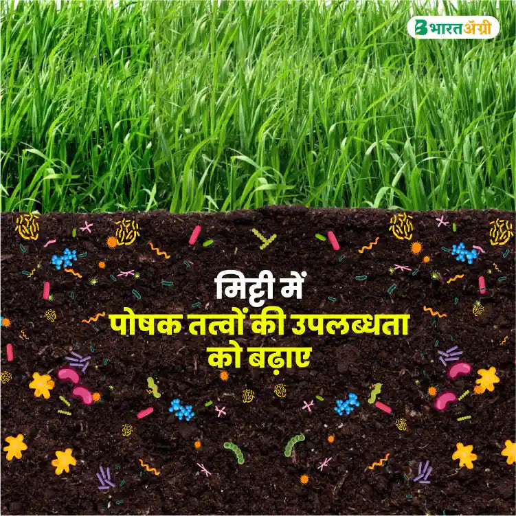 Patil Biotech Vamizone Bio Fertilizer (1+1 Combo)