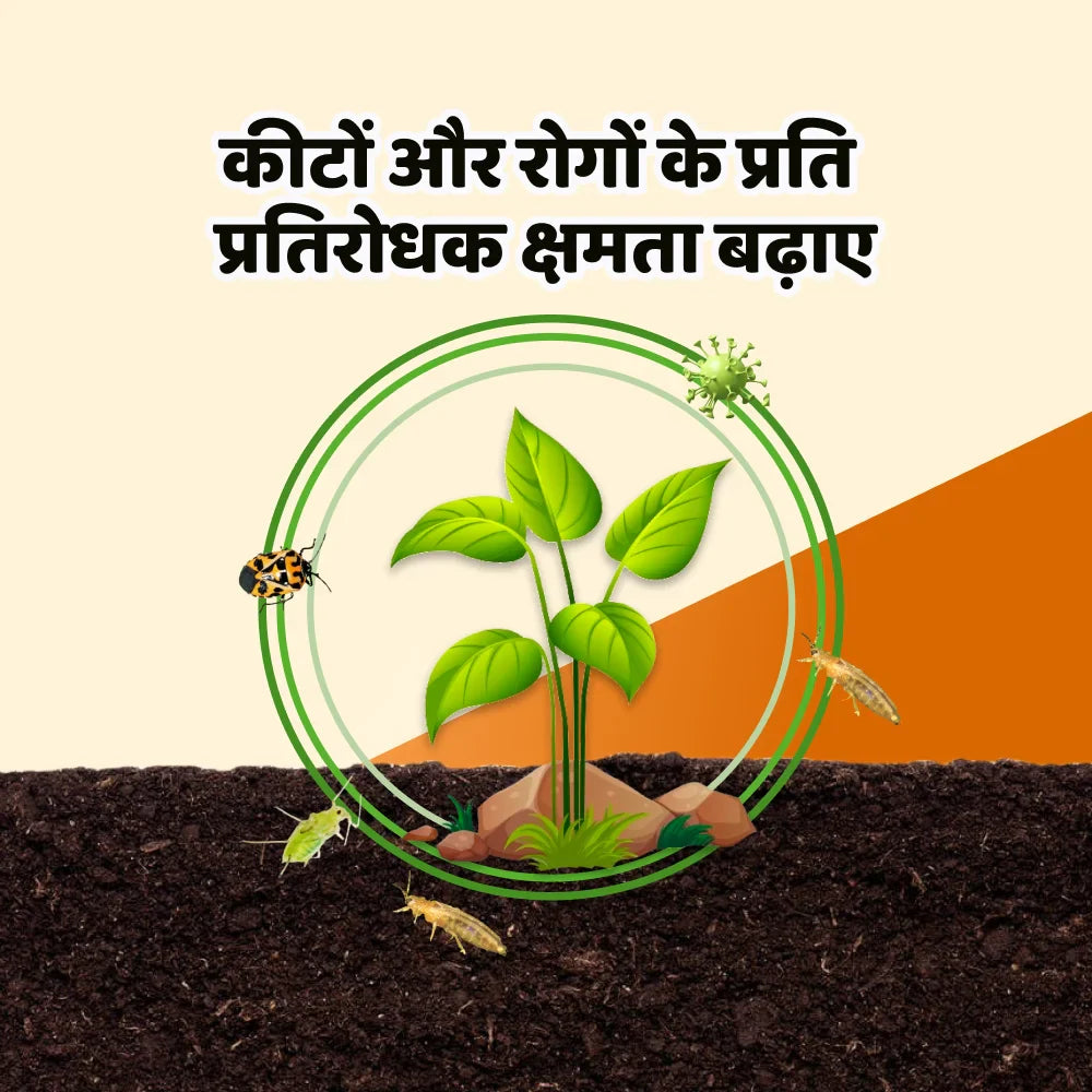 IFC Sulphur 90 Fertilizer