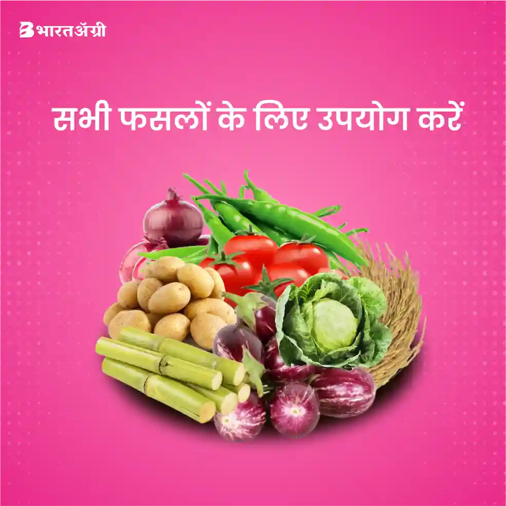 Shriram Poshak ( NPK 19:19:19) Fertilizer