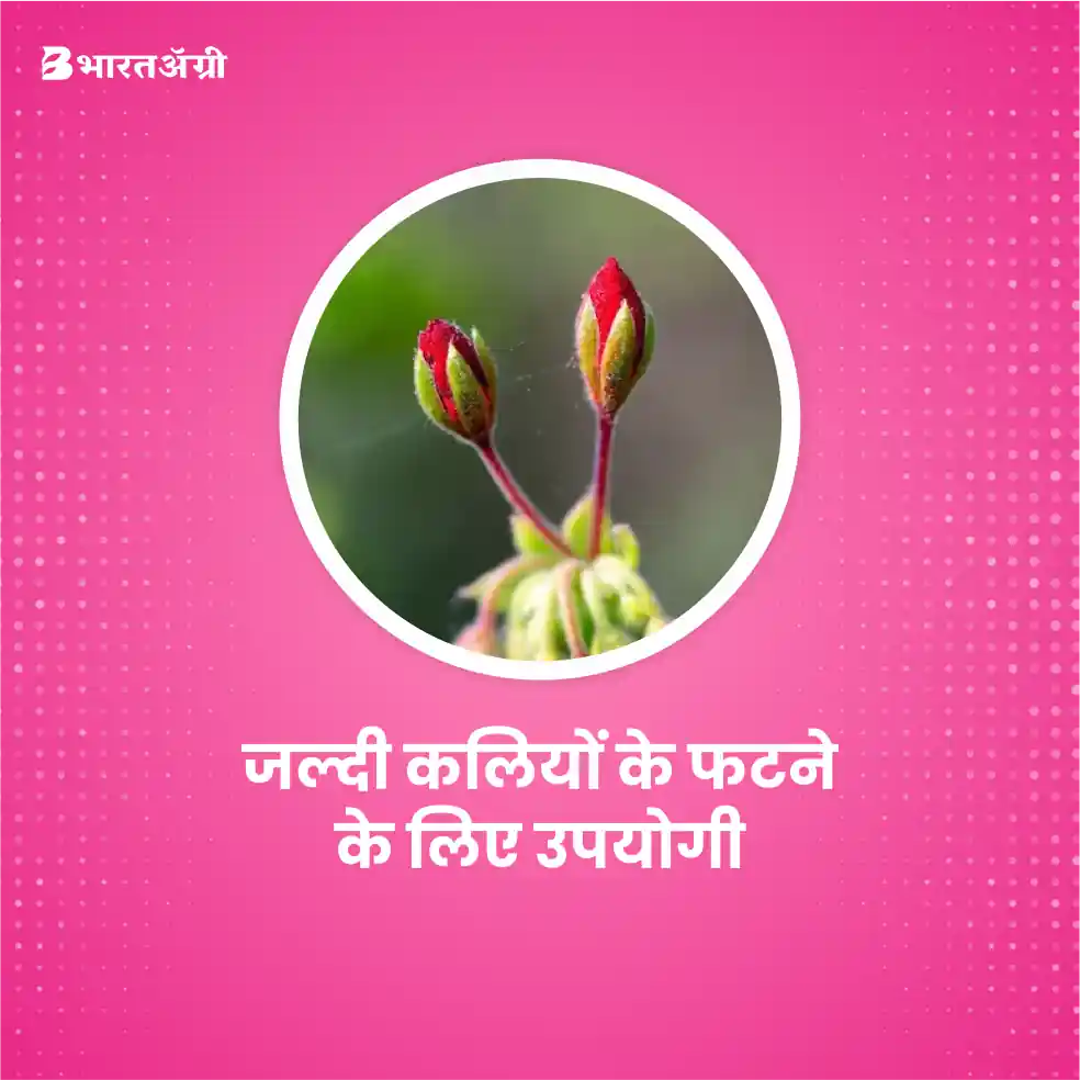 Shriram Poshak ( NPK 19:19:19) Fertilizer