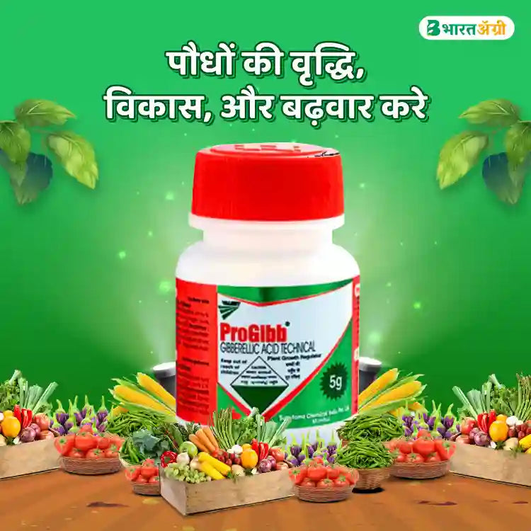 Sumitomo Progibb (Gibberellic acid 90%) Plant Growth Promoter