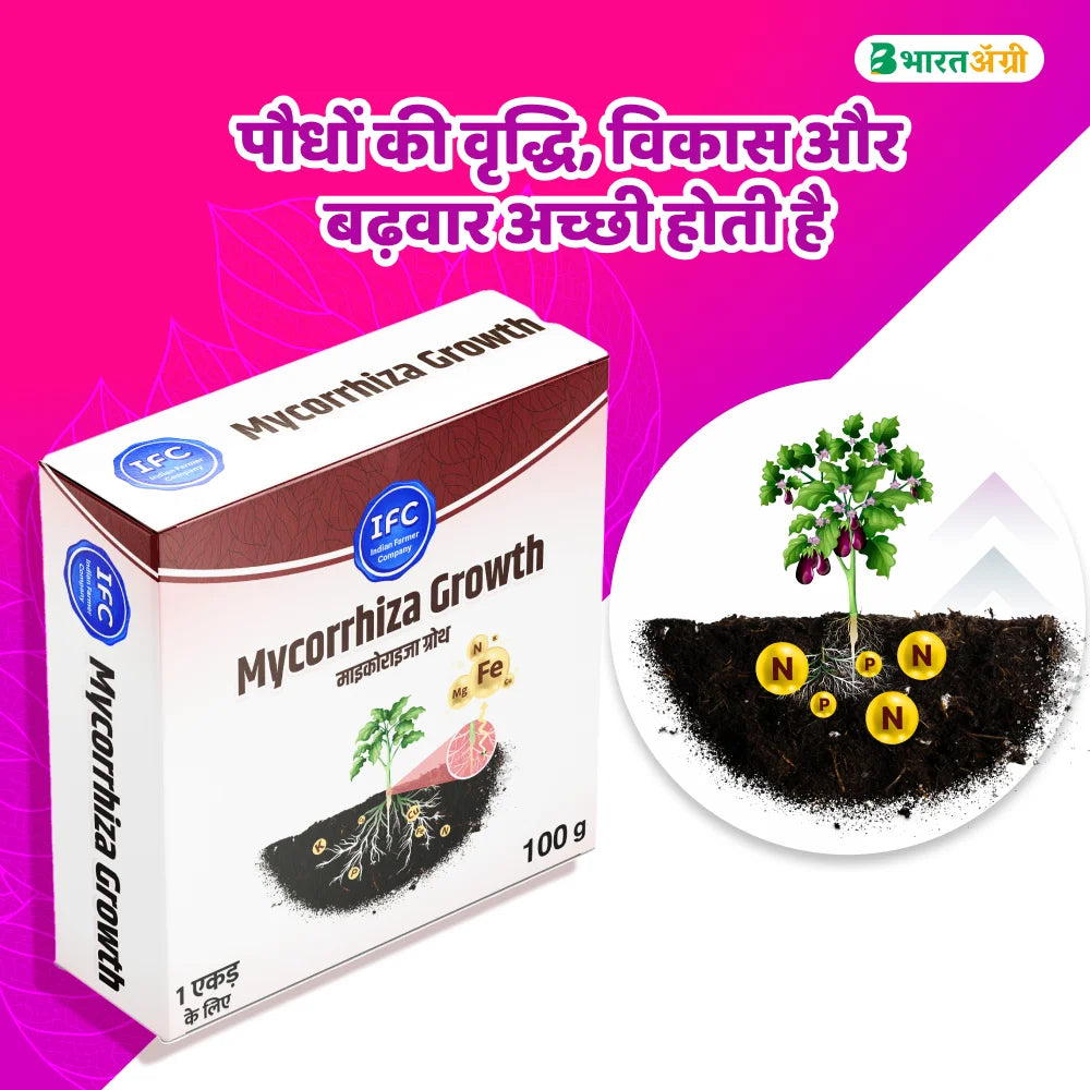 IFC Mycorrhiza Growth VAM (Vesicular Arbuscular Mycorrhiza)