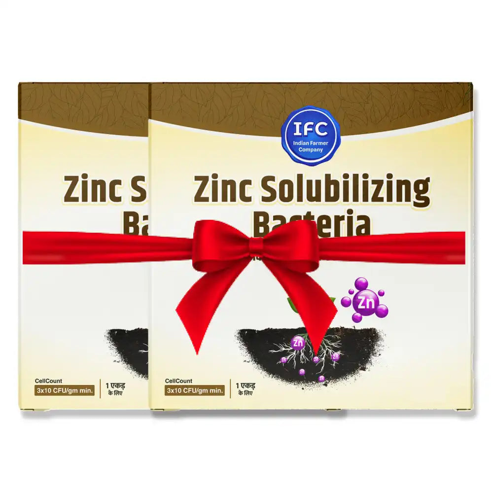 IFC Zinc Solubilizing Bacteria - 200 gm (1+1 फ्री)