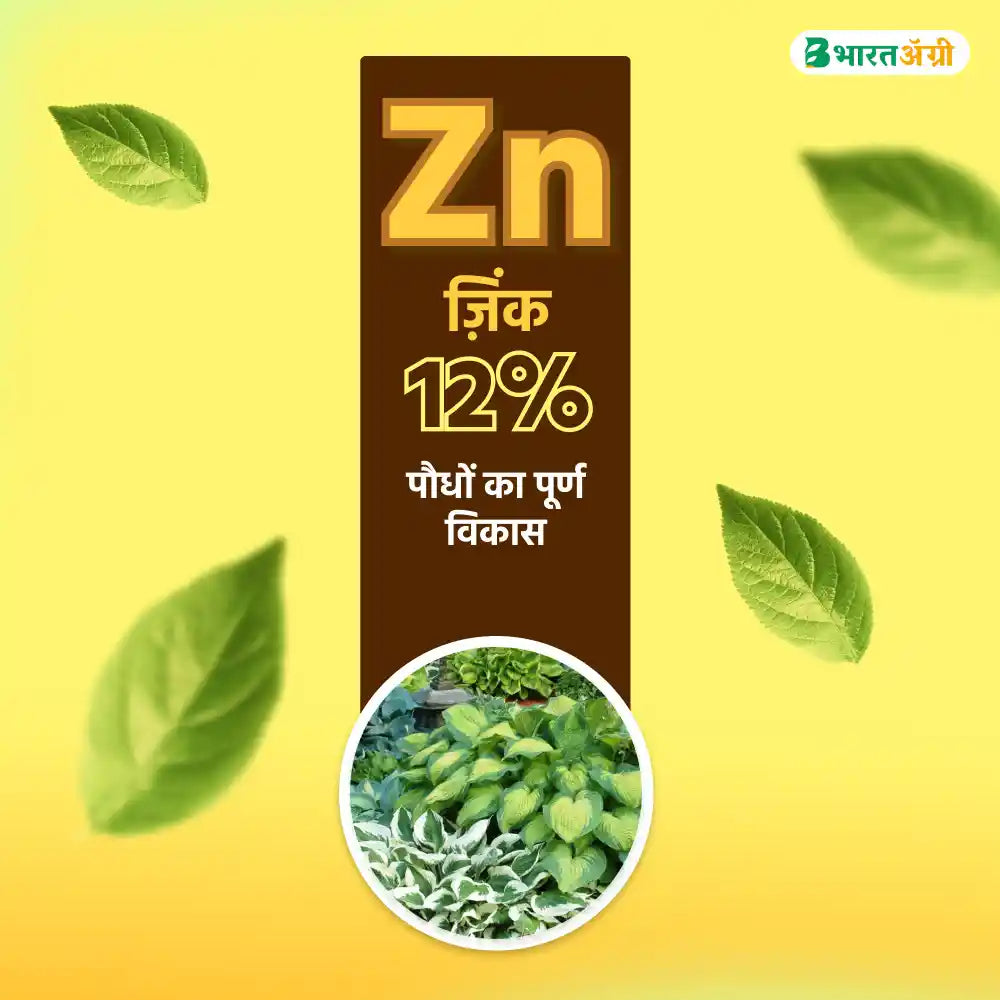 IFC Zinc EDTA 12% Fertilizer - 250 gm (1+1 Free)