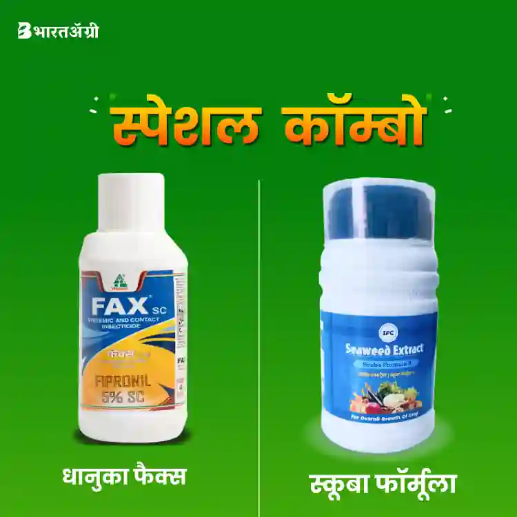Dhanuka Fax - 250 ml + IFC Scuba Formula - 250 ml (1+1 Combo)