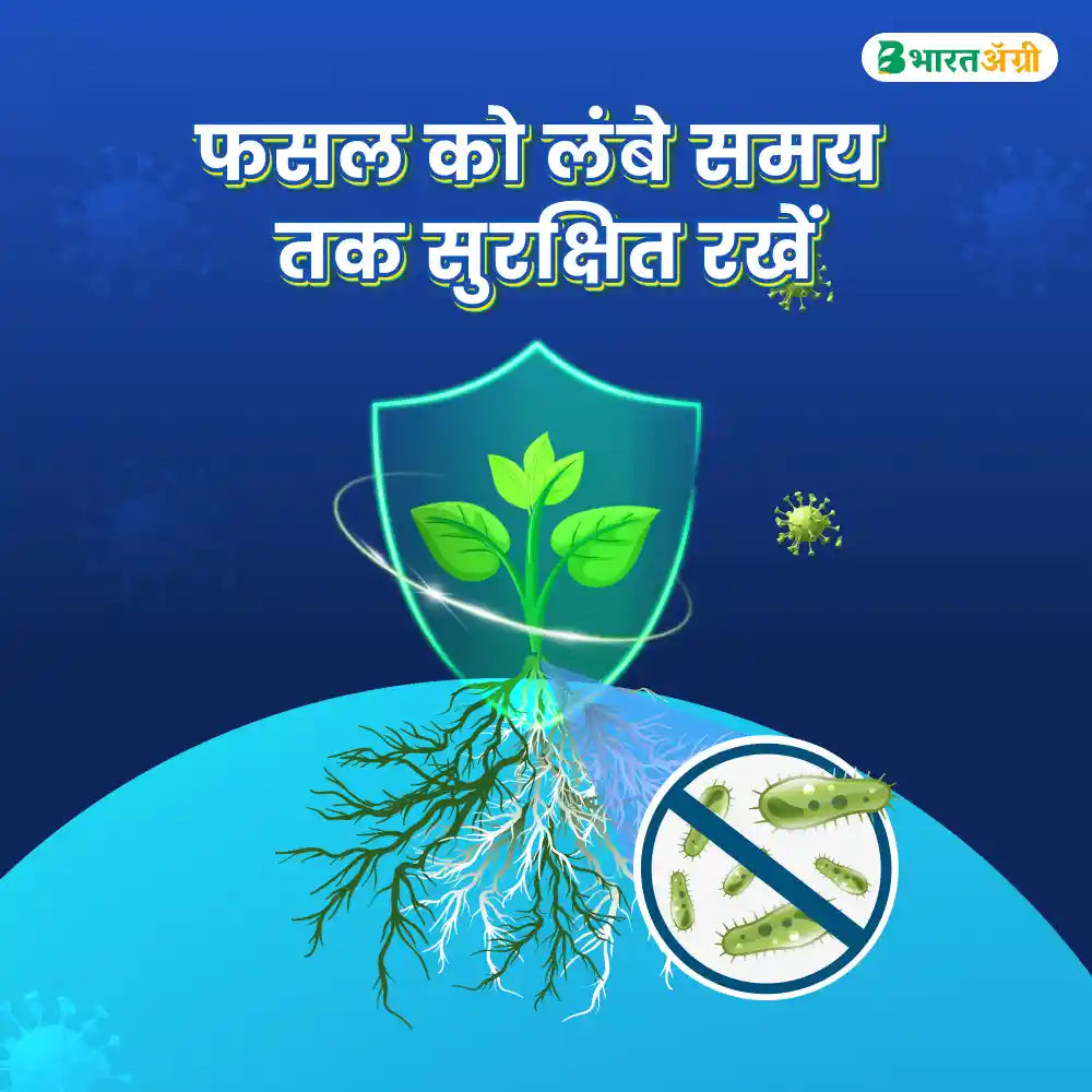 IFC Derma Shield (Trichoderma Viride) Biofungicide
