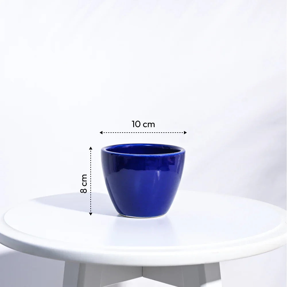 Ugaoo Apple Dark Blue Ceramic Pot