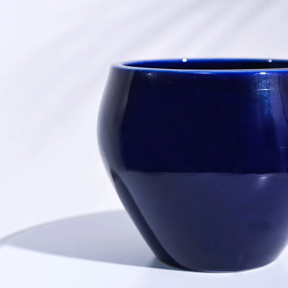 Ugaoo Apple Dark Blue Ceramic Pot