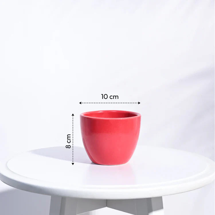 Ugaoo Apple Red Ceramic Pot