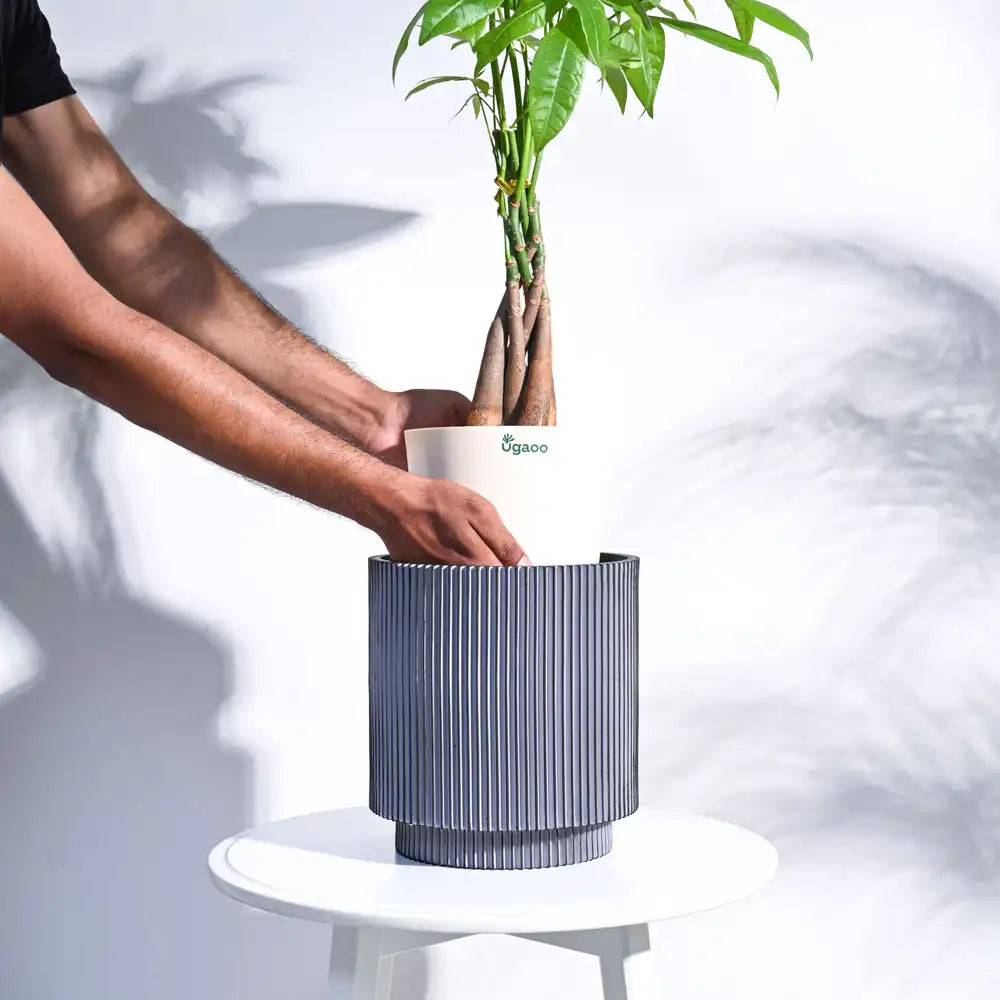 Ugaoo Planter Vase Cylinder Groove (Black)