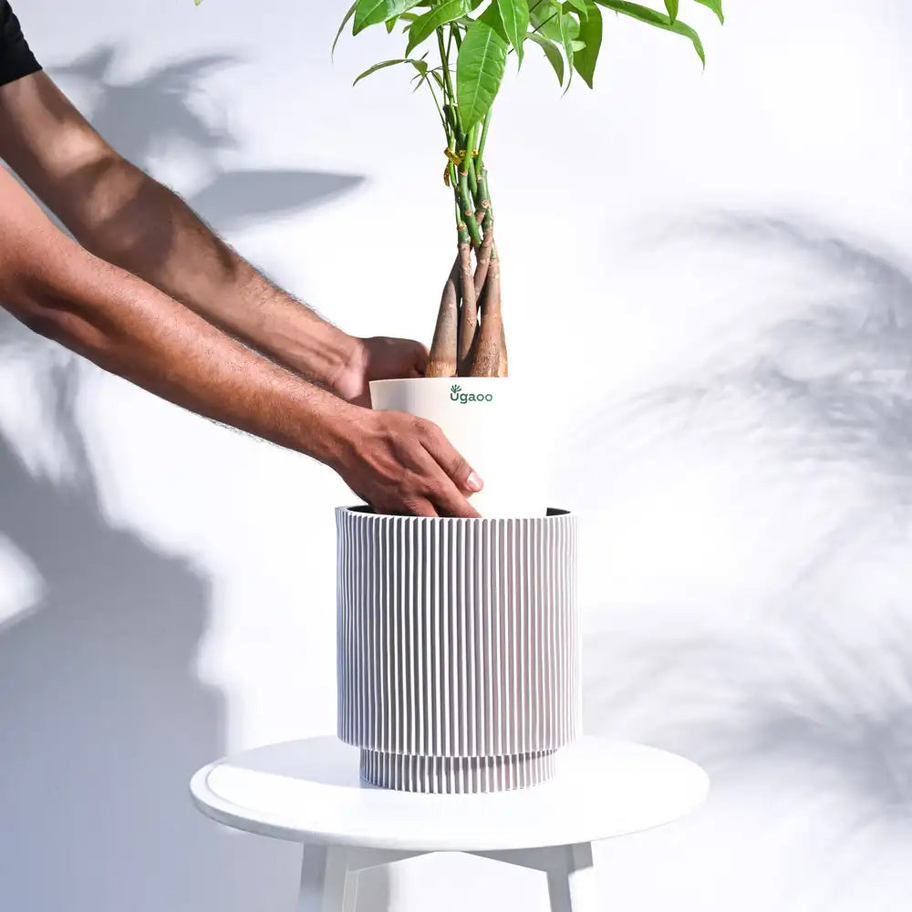 Ugaoo Planter Vase Cylinder Groove (Ivory)