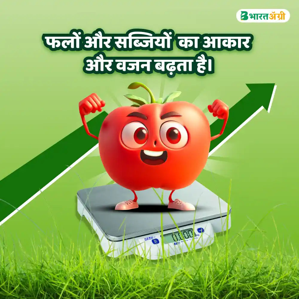 IFC NPK 00:00:50 Water Soluble Fertilizer (1+1 Combo)
