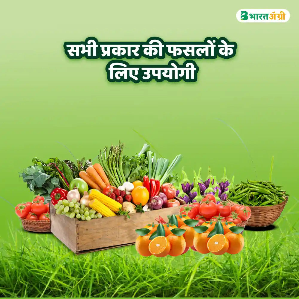 IFC NPK 00:00:50 Water Soluble Fertilizer (1+1 Combo)